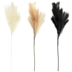 B&M Pampas Stem - Black -Home Decor Shop 372800 395541 394382 pamas stem group