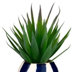 B&M Small Succulent -Home Decor Shop 380107 small succulent 2
