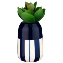 B&M Small Succulent -Home Decor Shop 380107 small succulent 5