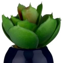 B&M Small Succulent -Home Decor Shop 380107 small succulent 6