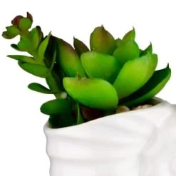 B&M Scandi Shore Small Shell Succulent -Home Decor Shop 380110 small shell succulent 2