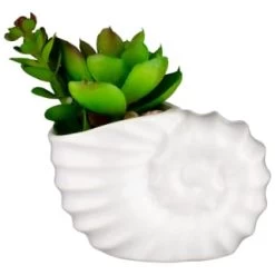 B&M Scandi Shore Small Shell Succulent -Home Decor Shop 380110 small shell succulent