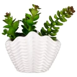 B&M Scandi Shore Small Shell Succulent -Home Decor Shop 380110 small shell succulent 7