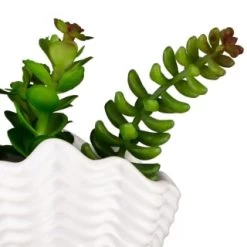 B&M Scandi Shore Small Shell Succulent -Home Decor Shop 380110 small shell succulent 8