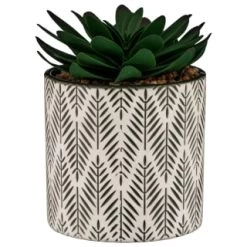 B&M Succulent In Botanist Print Pot - Green