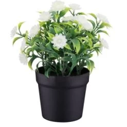 Bloom Daisies In Pot - White