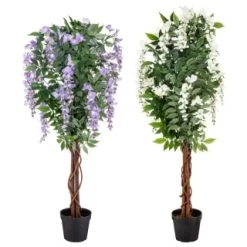Bloom Wysteria Tree In Pot - Purple -Home Decor Shop 392870 4ft wysteria tree group