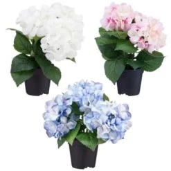 Bloom Hydrangea In Pot - Pink -Home Decor Shop 392961 hydrangea in pot group1