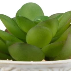 B&M Assorted Embossed Pots -Home Decor Shop 394664 embossed pot 6